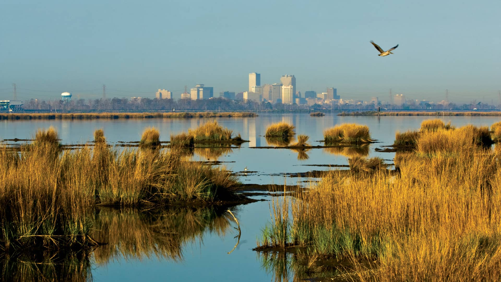 New Orleans skyline from Paris Road in Chalmette, LA (photo by Paula Burch-Celentano, © 2008 Tulane University)