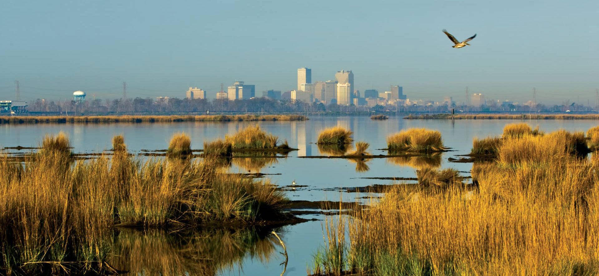 Marshland with New Orleans skyline in distance